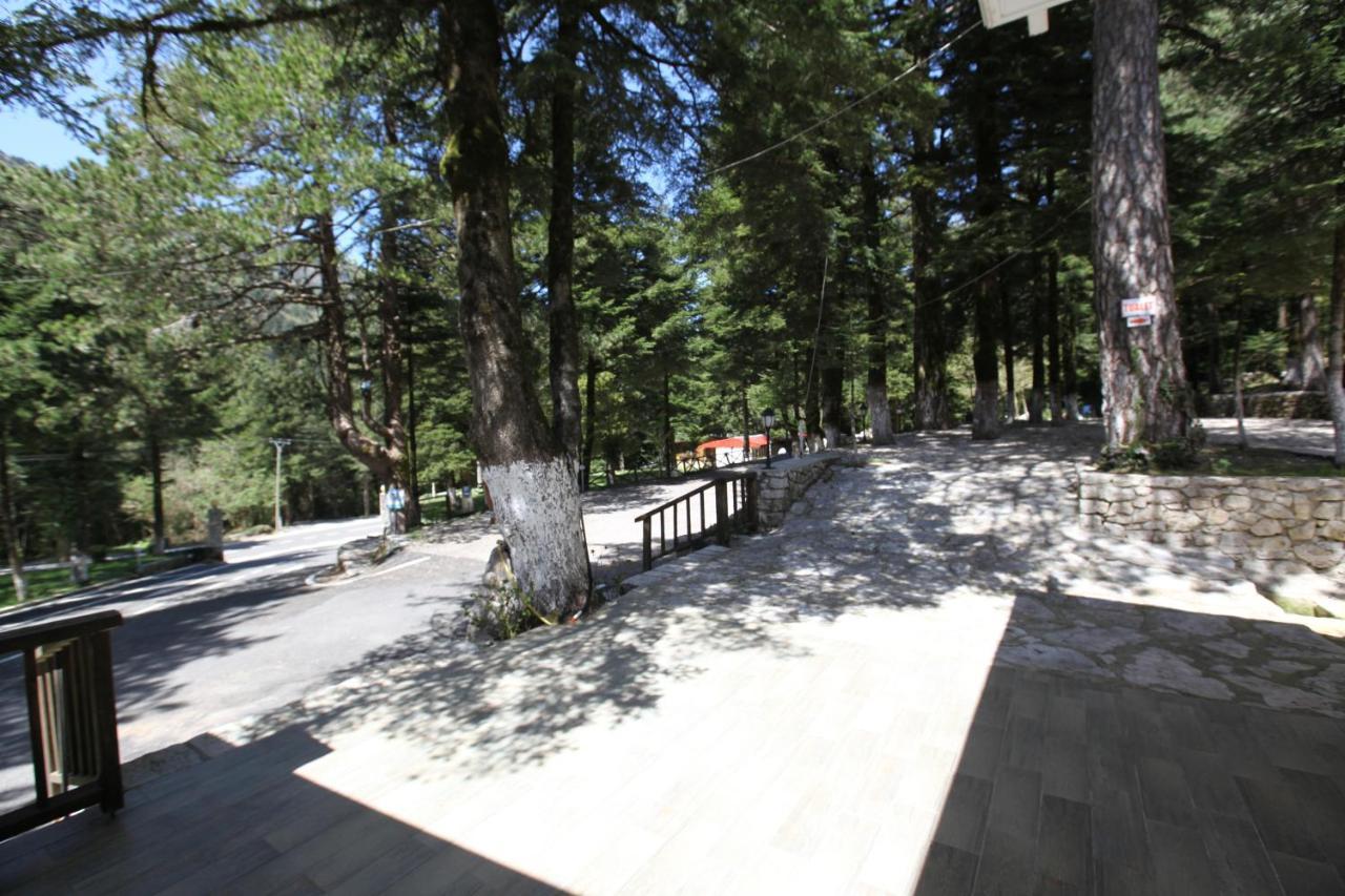 Bujtina Uji I Panjes, Log Cabins Dukat エクステリア 写真
