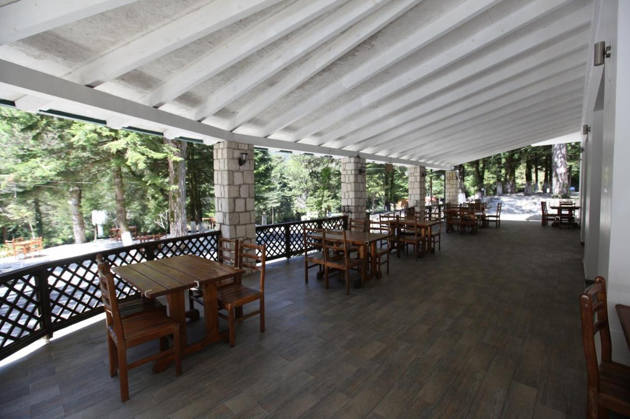 Bujtina Uji I Panjes, Log Cabins Dukat エクステリア 写真