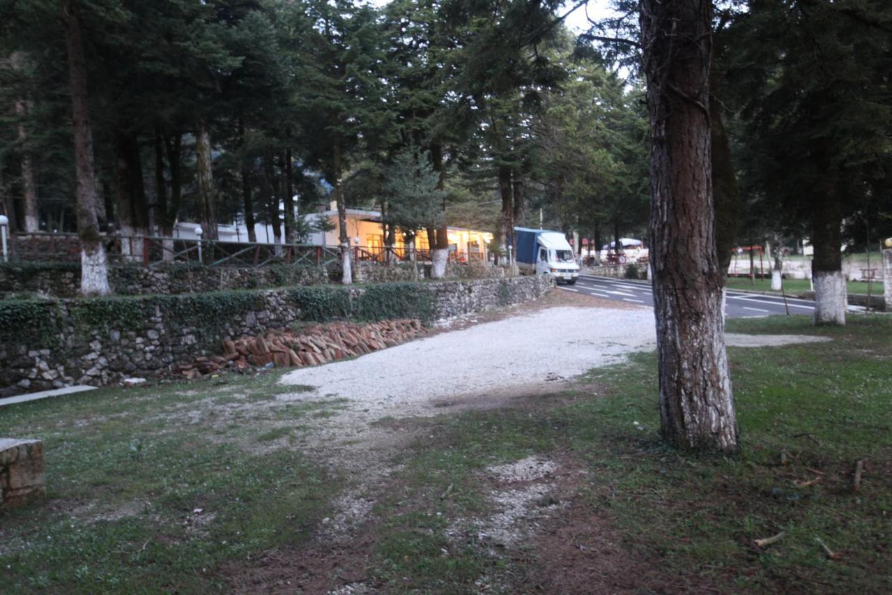 Bujtina Uji I Panjes, Log Cabins Dukat エクステリア 写真
