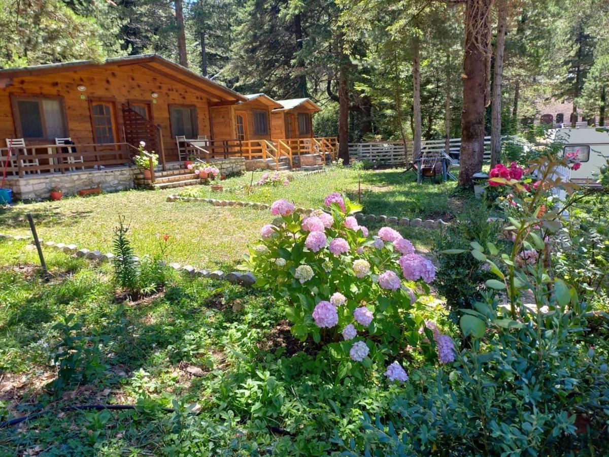 Bujtina Uji I Panjes, Log Cabins Dukat エクステリア 写真