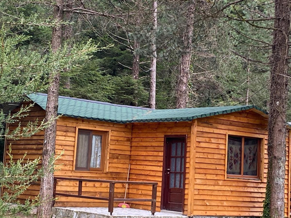Bujtina Uji I Panjes, Log Cabins Dukat エクステリア 写真