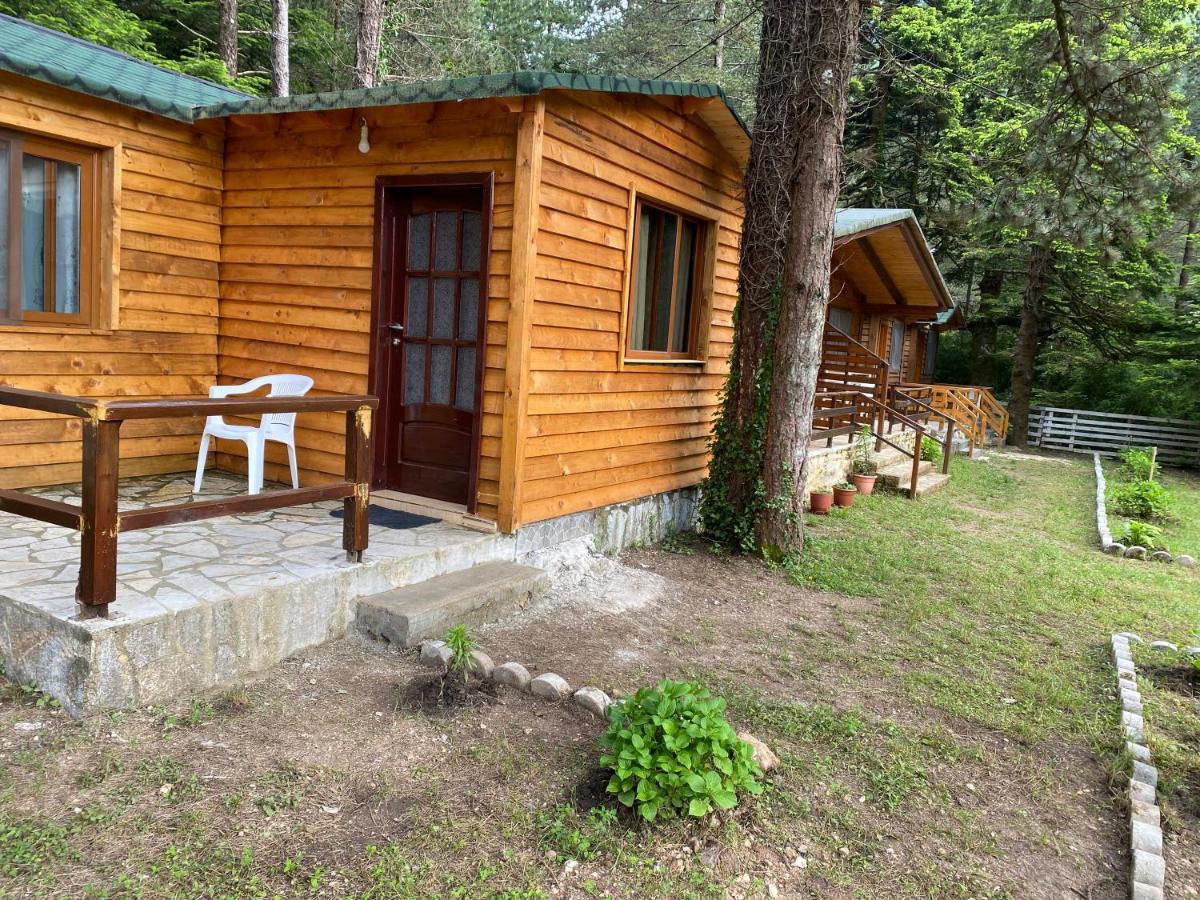 Bujtina Uji I Panjes, Log Cabins Dukat エクステリア 写真