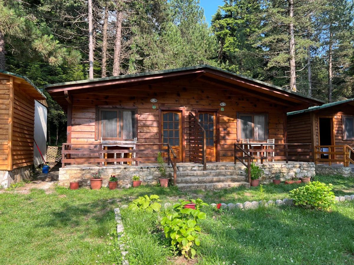Bujtina Uji I Panjes, Log Cabins Dukat エクステリア 写真