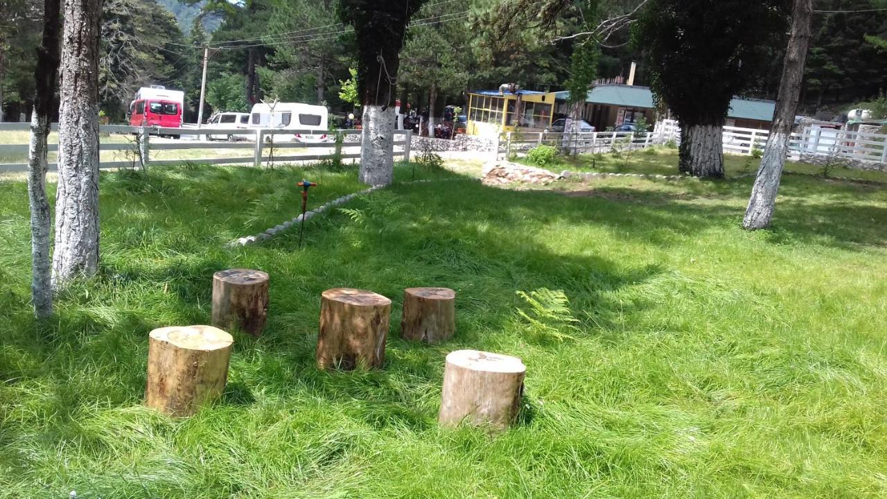 Bujtina Uji I Panjes, Log Cabins Dukat エクステリア 写真